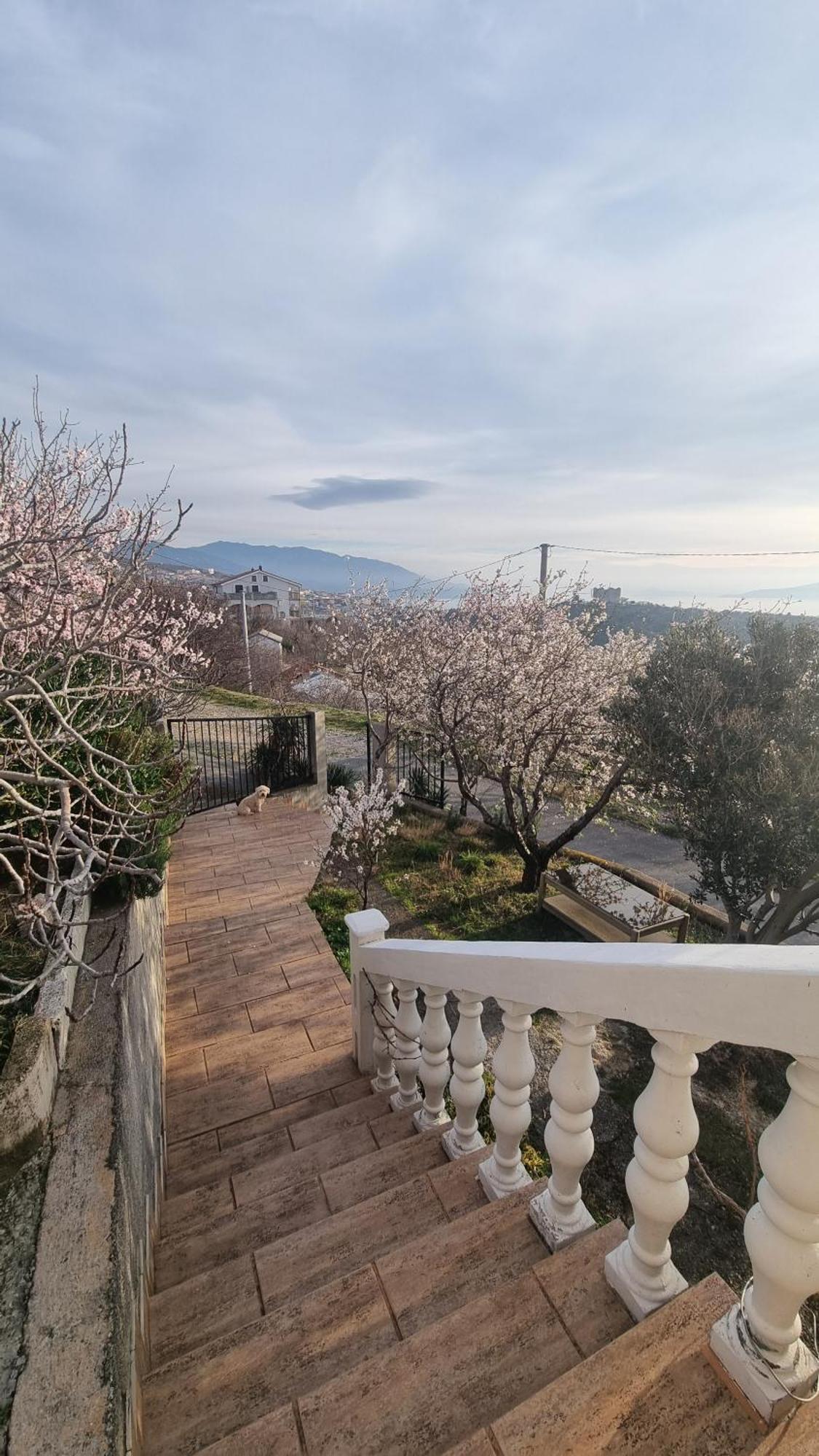 Apartman Pogled Na More Senj  Eksteriør billede